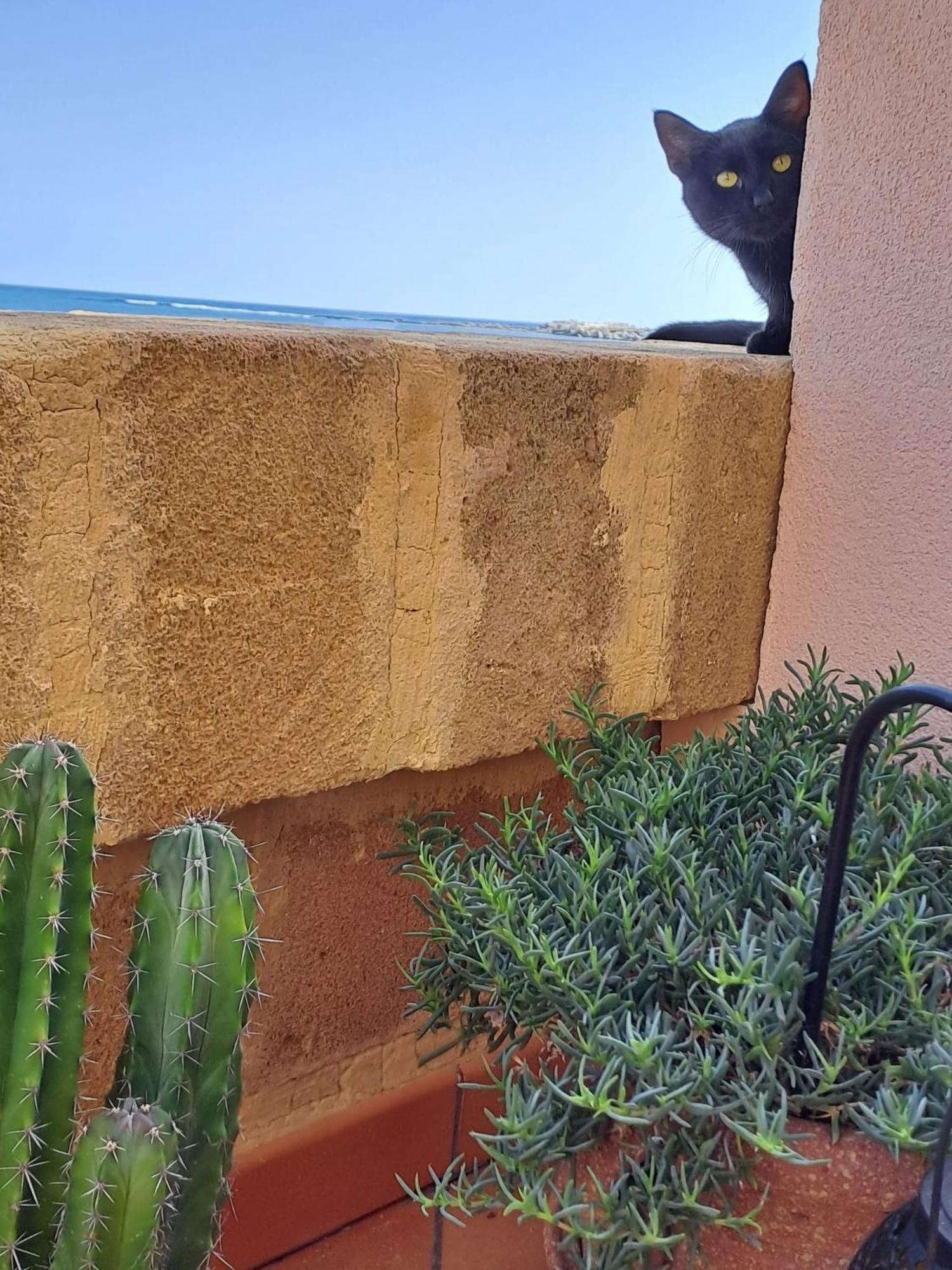 La Casa Sulla Spiaggia Marzamemi Kültér fotó